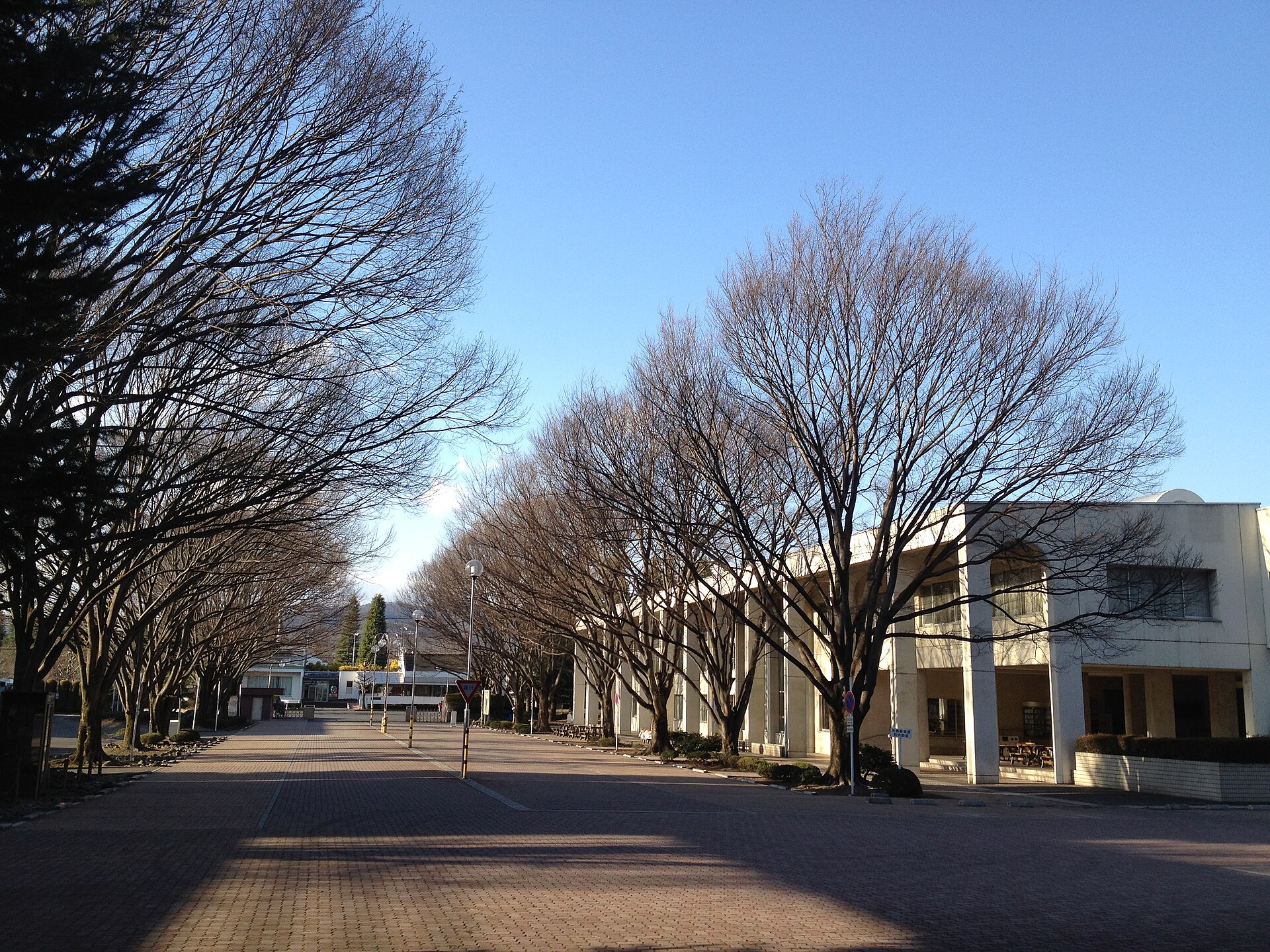 足利大学