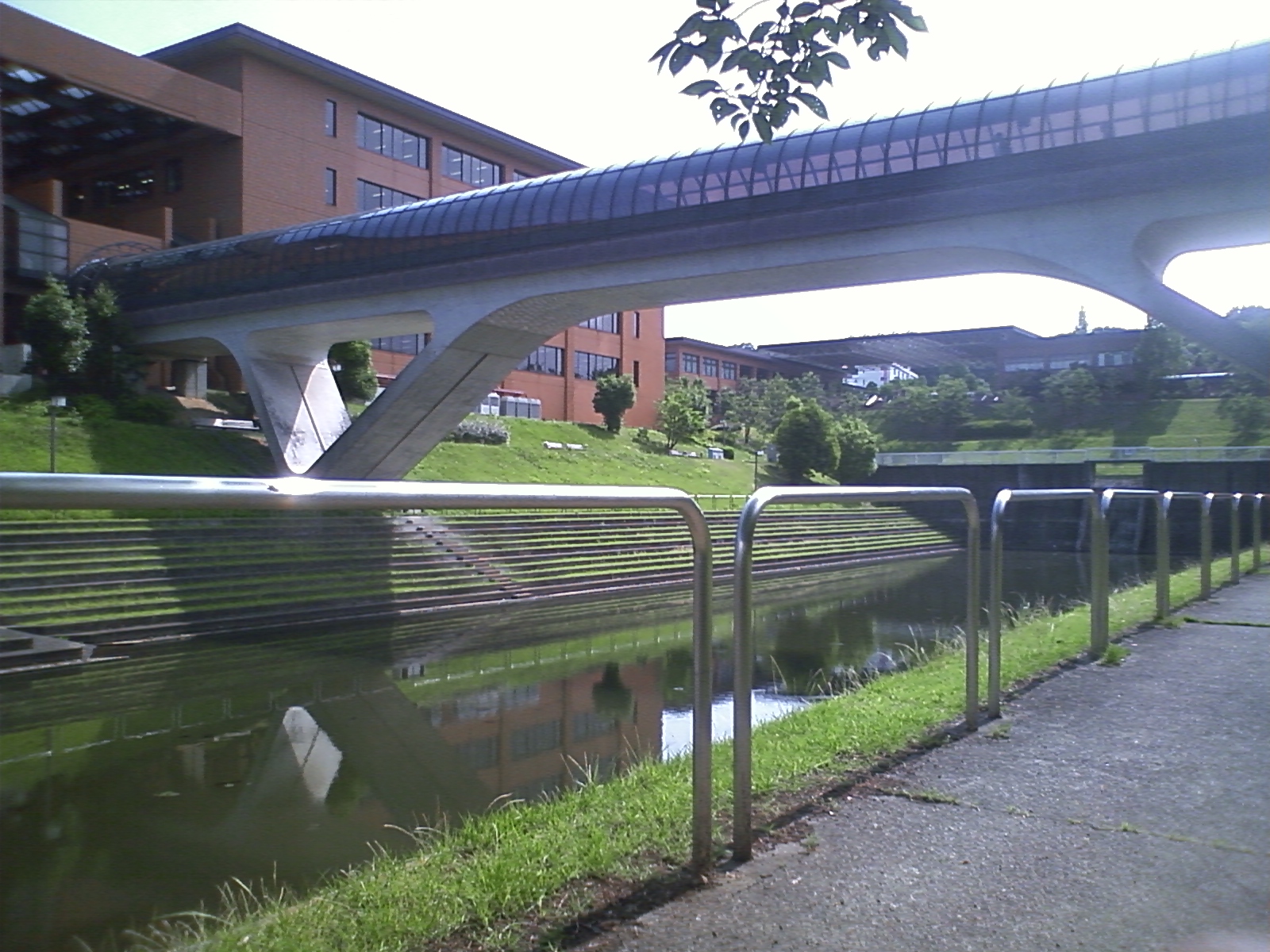 大東文化大学