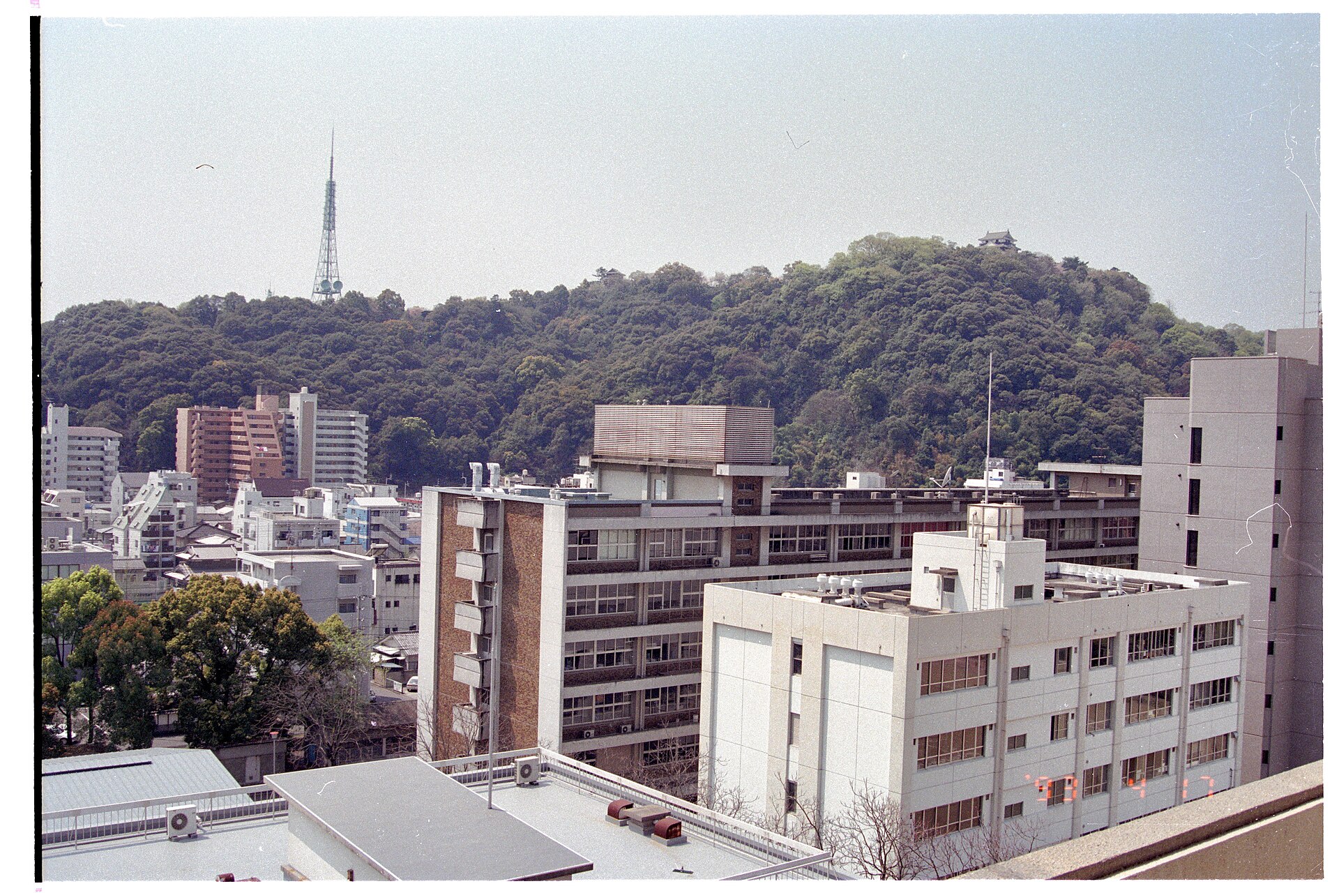 愛媛大学