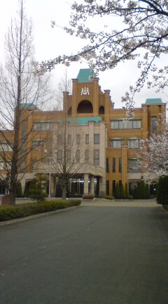 平成国際大学