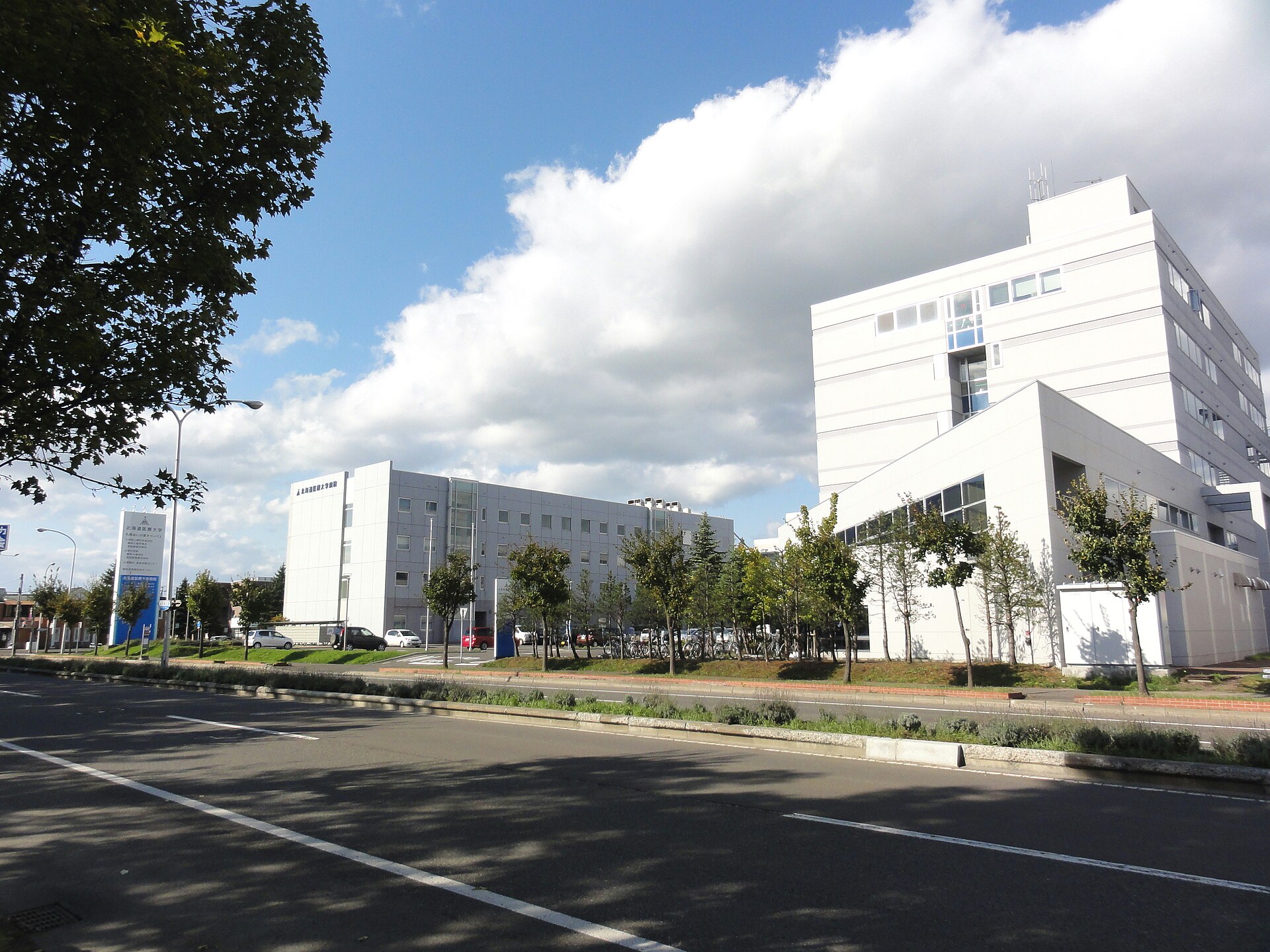 北海道医療大学
