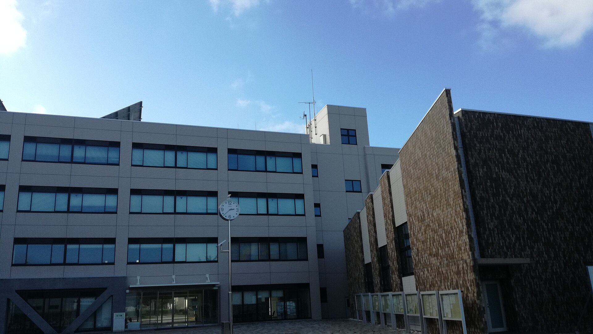 茨城大学