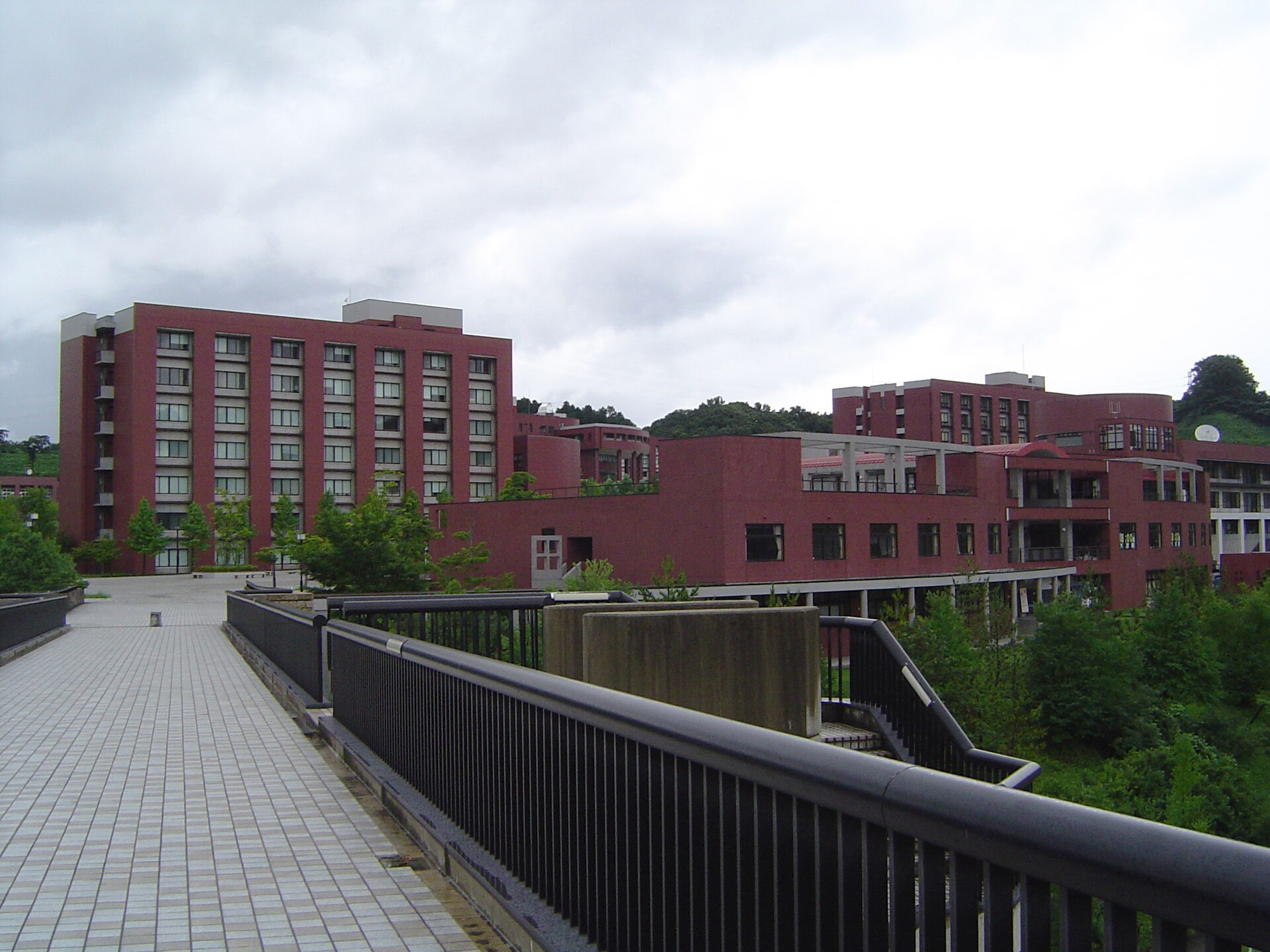 金沢大学