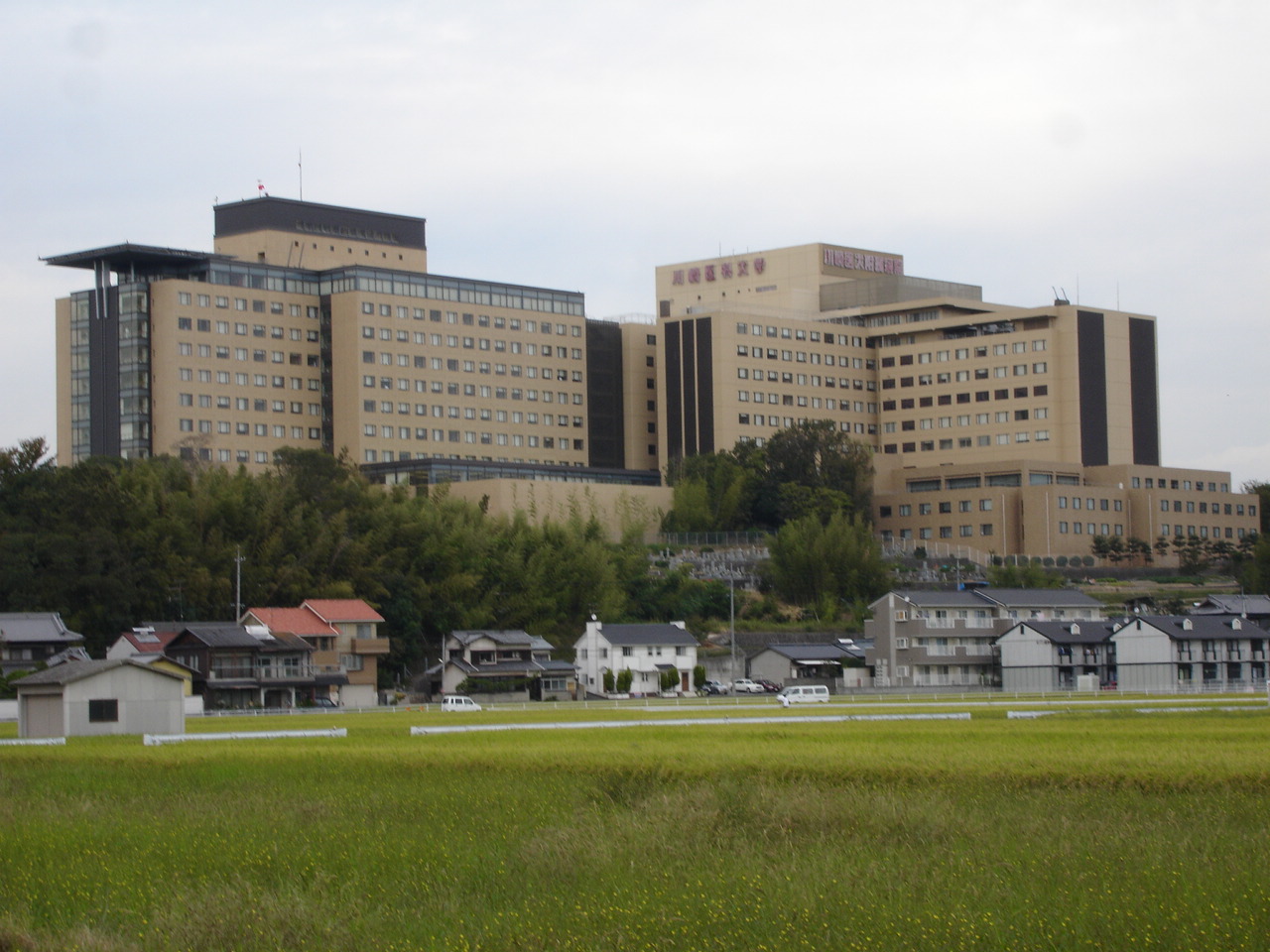川崎医科大学
