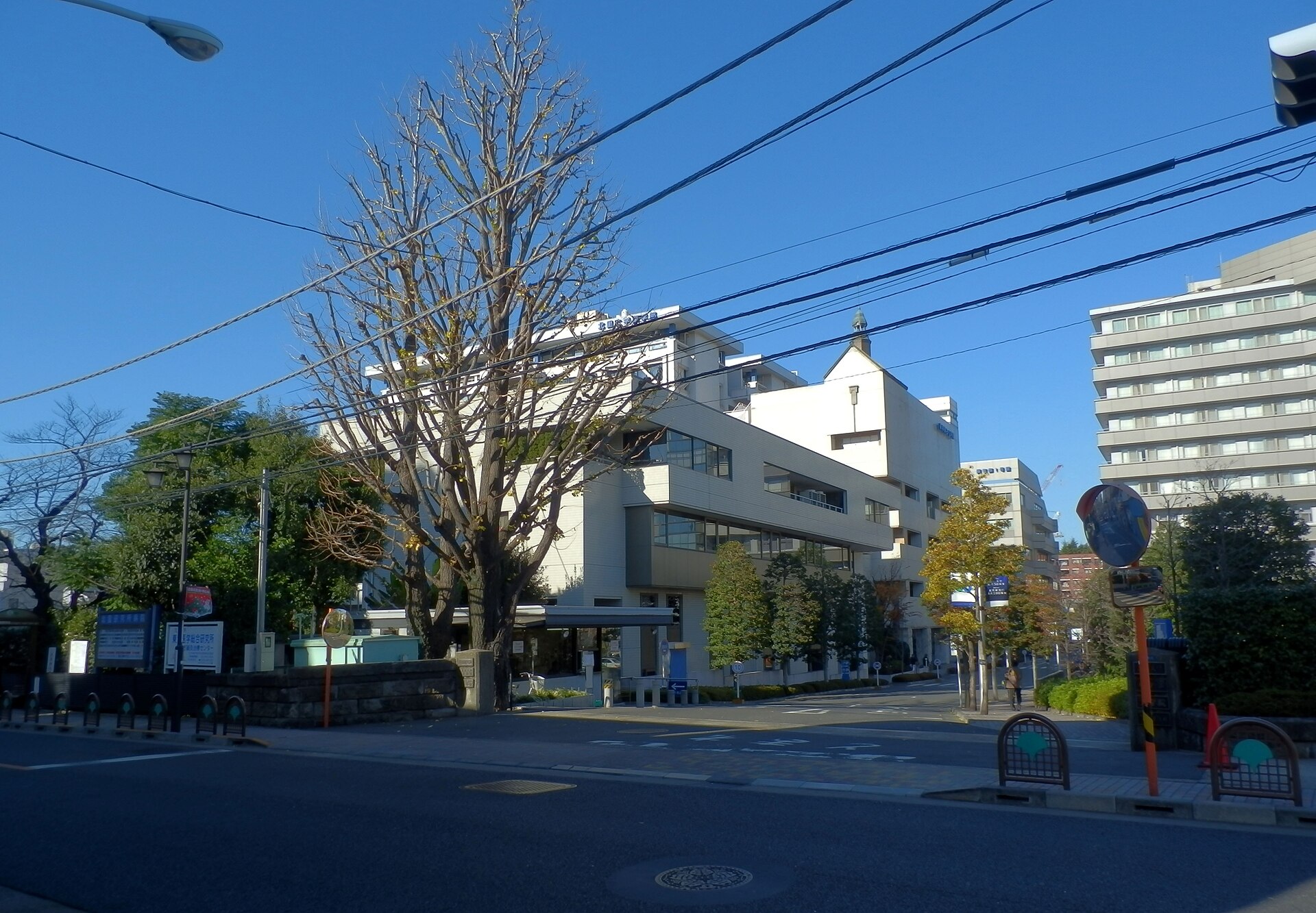 北里大学
