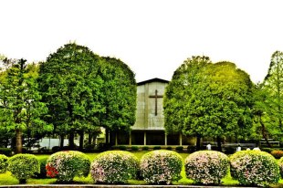 国際基督教大学