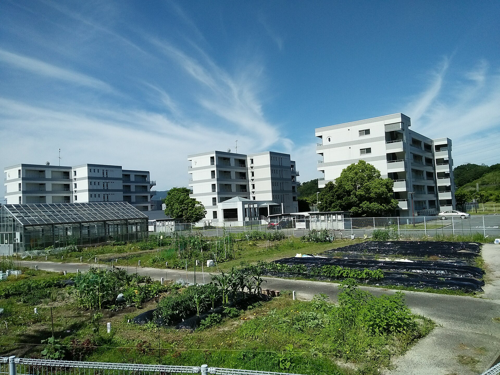 奈良先端科学技術大学院大学