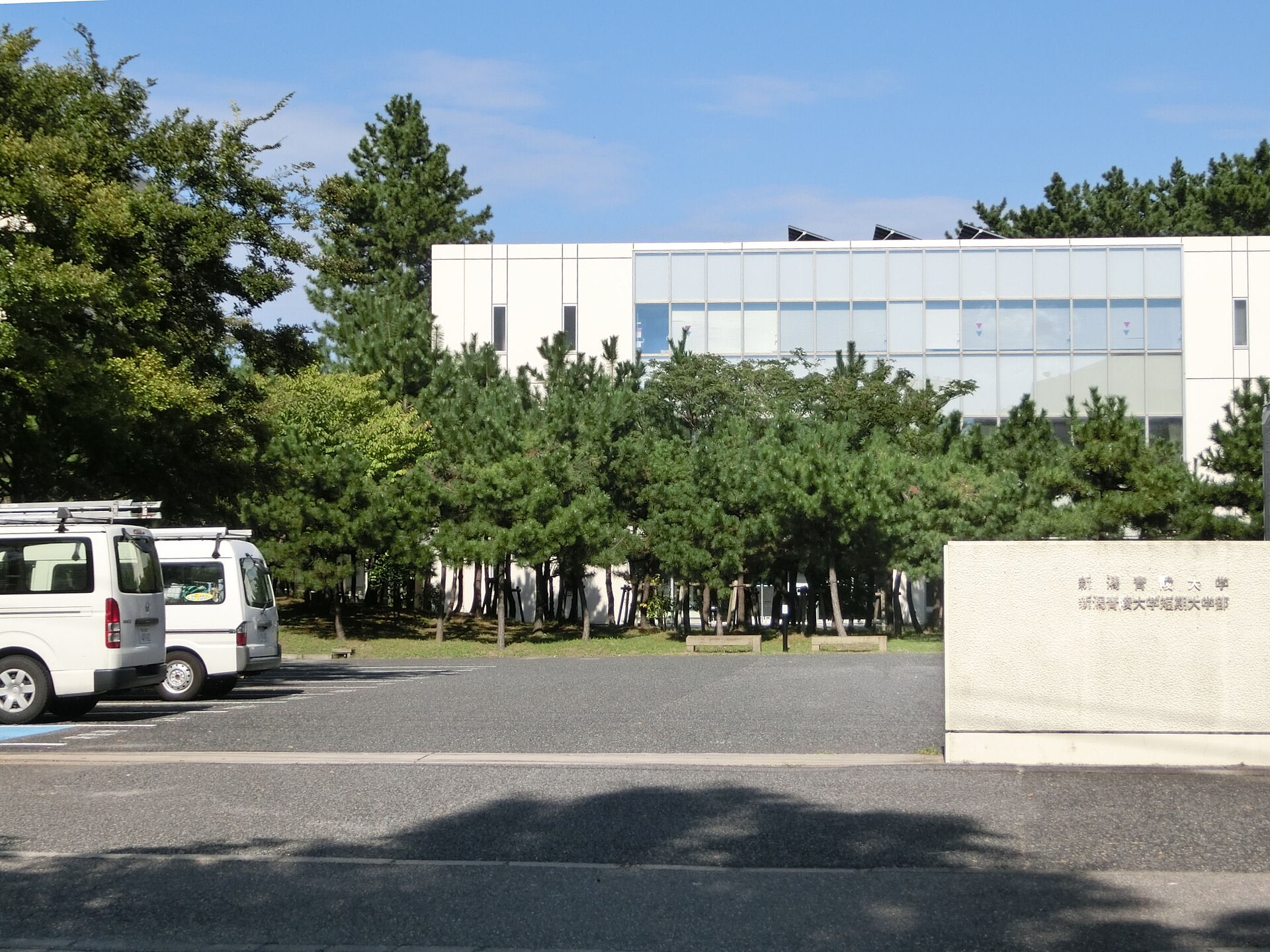 新潟青陵大学