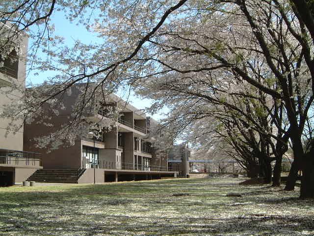 立正大学