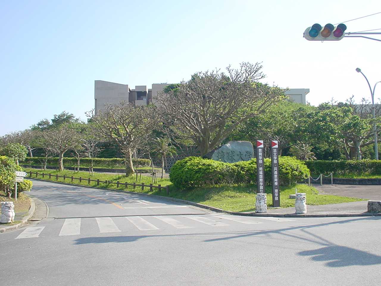 琉球大学