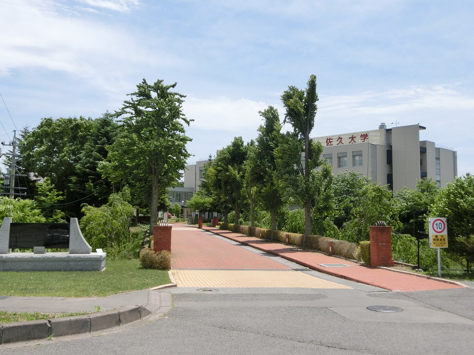 佐久大学