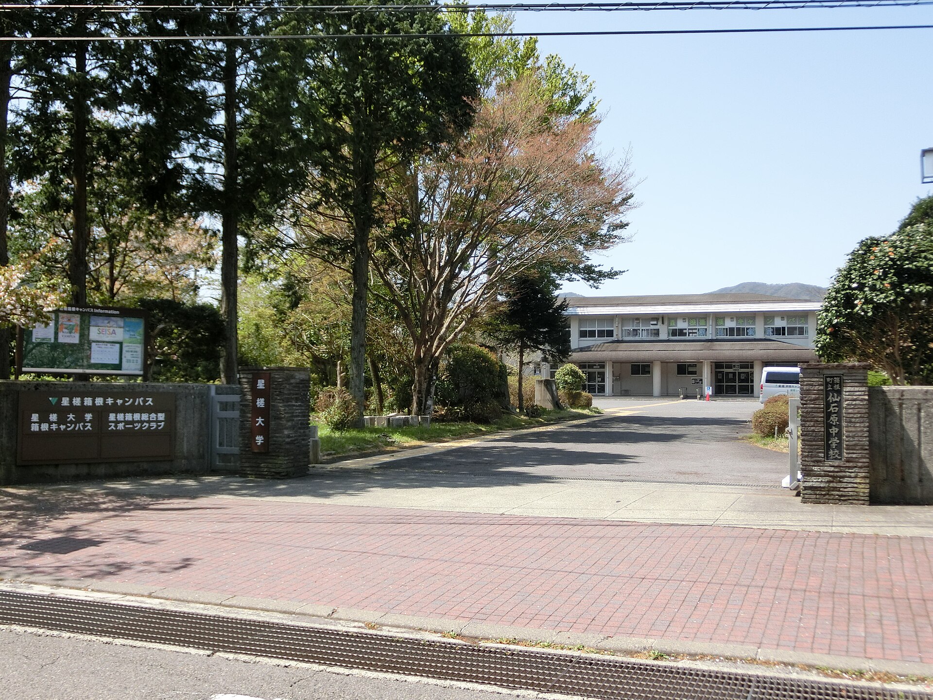 星槎大学