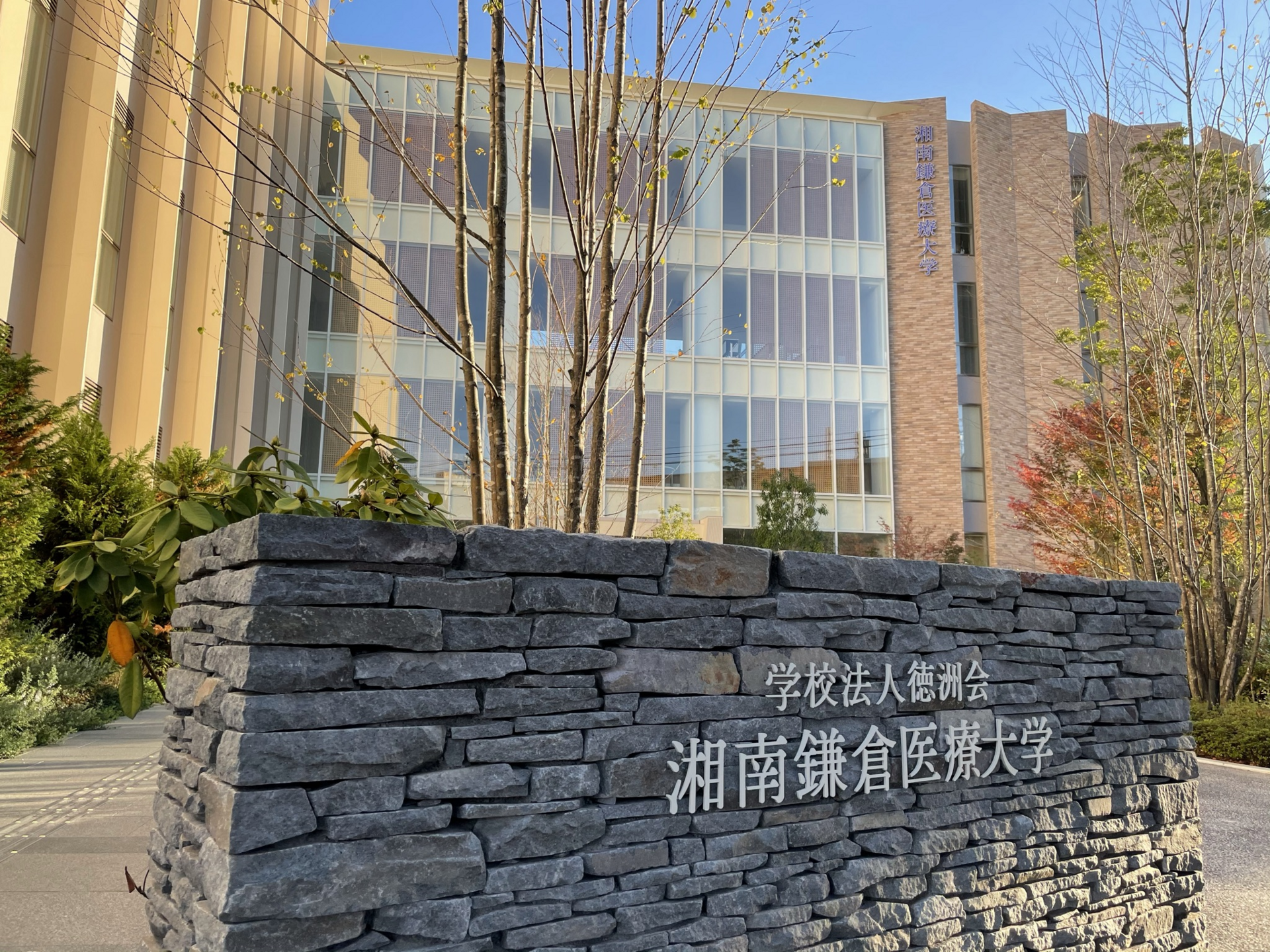 湘南鎌倉医療大学