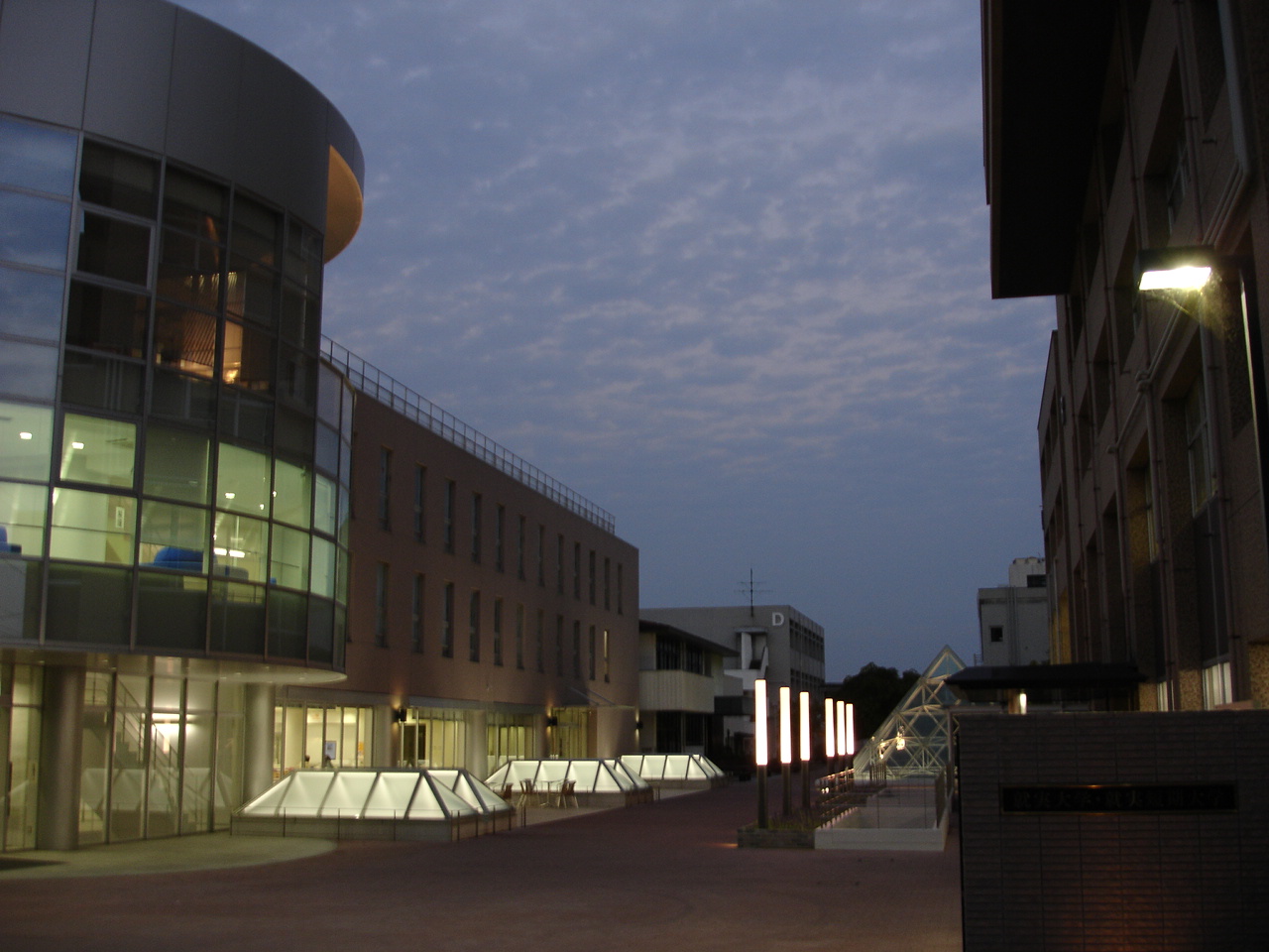 就実大学