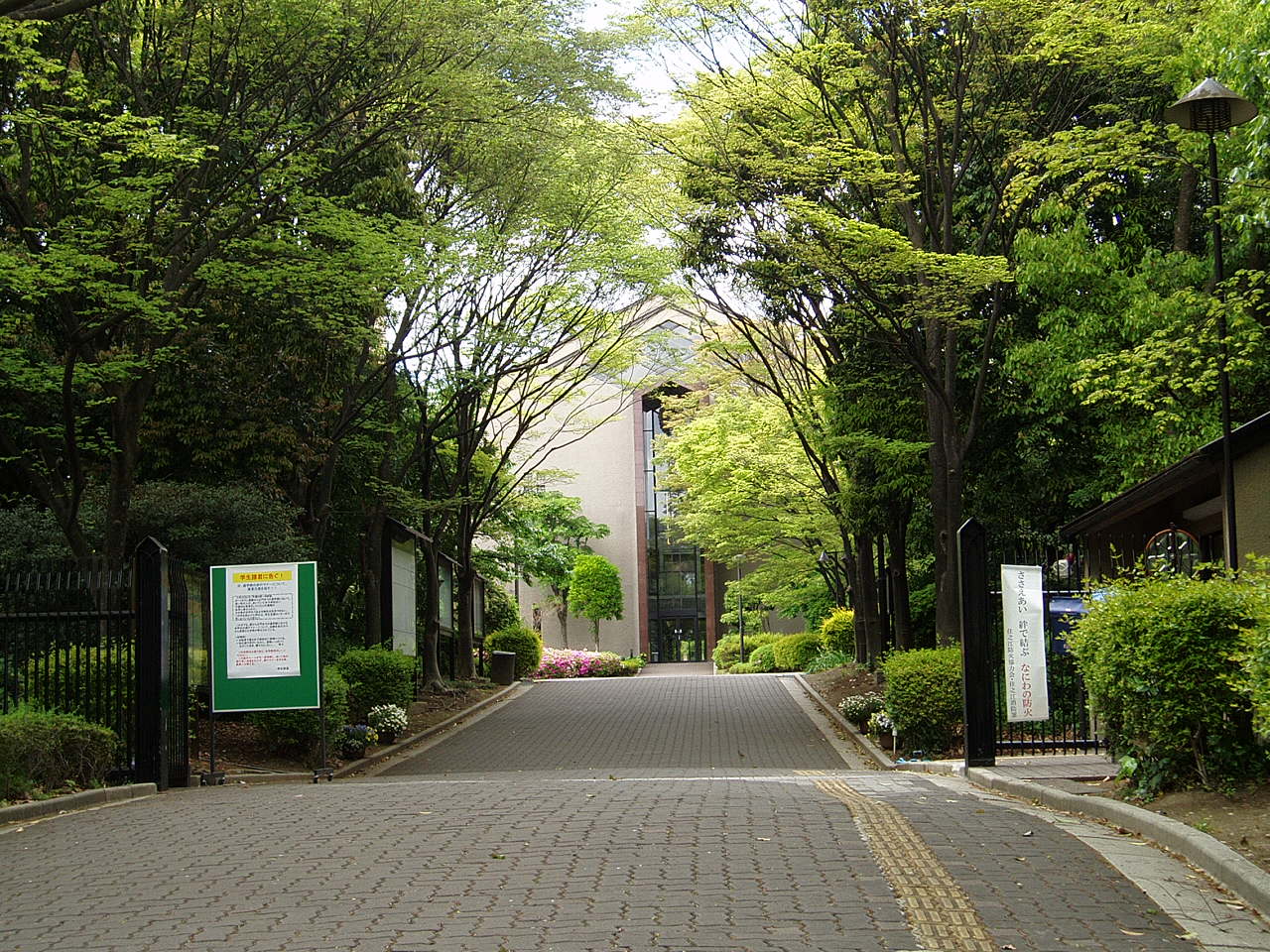 相愛大学