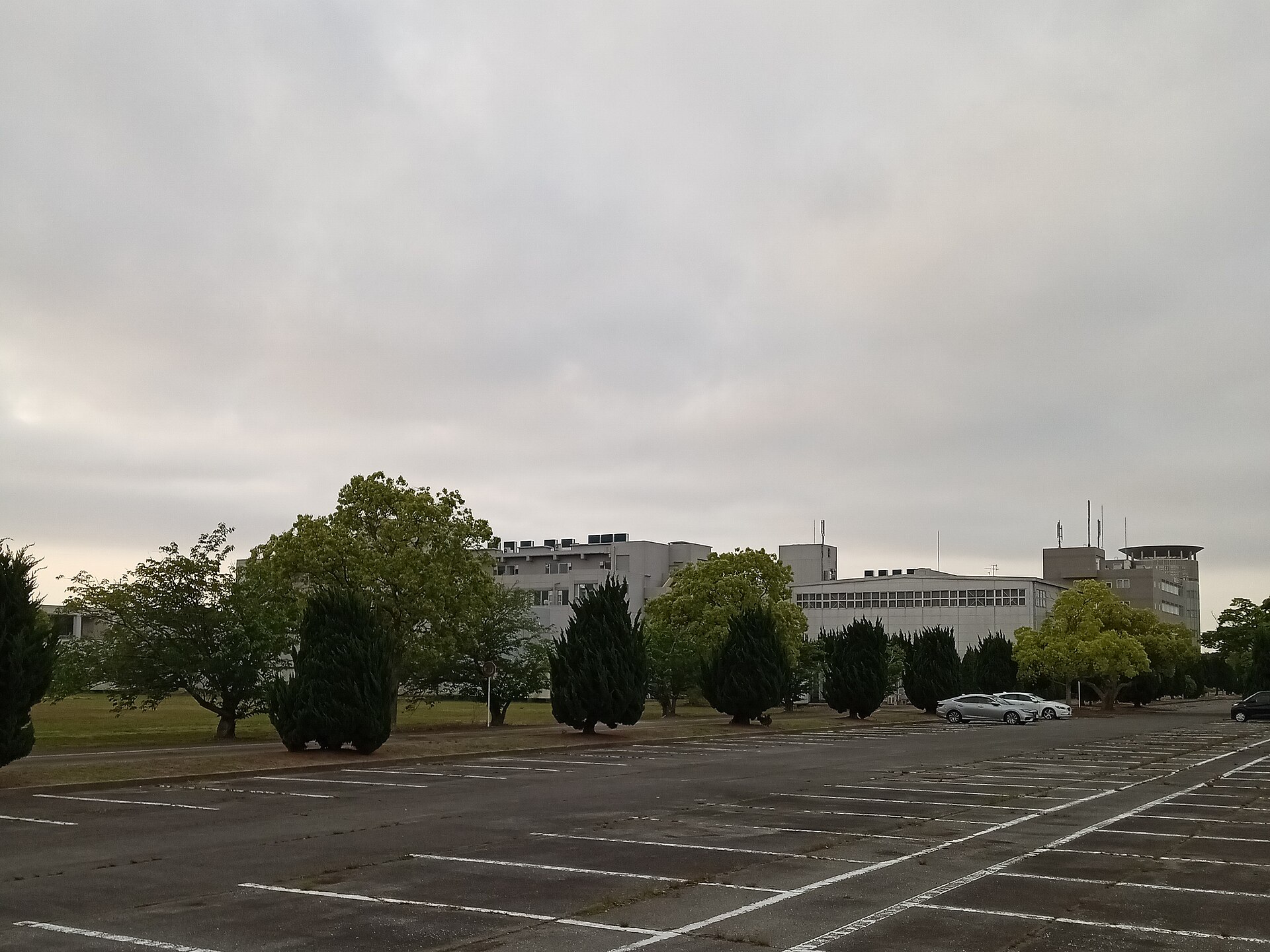 鈴鹿医療科学大学