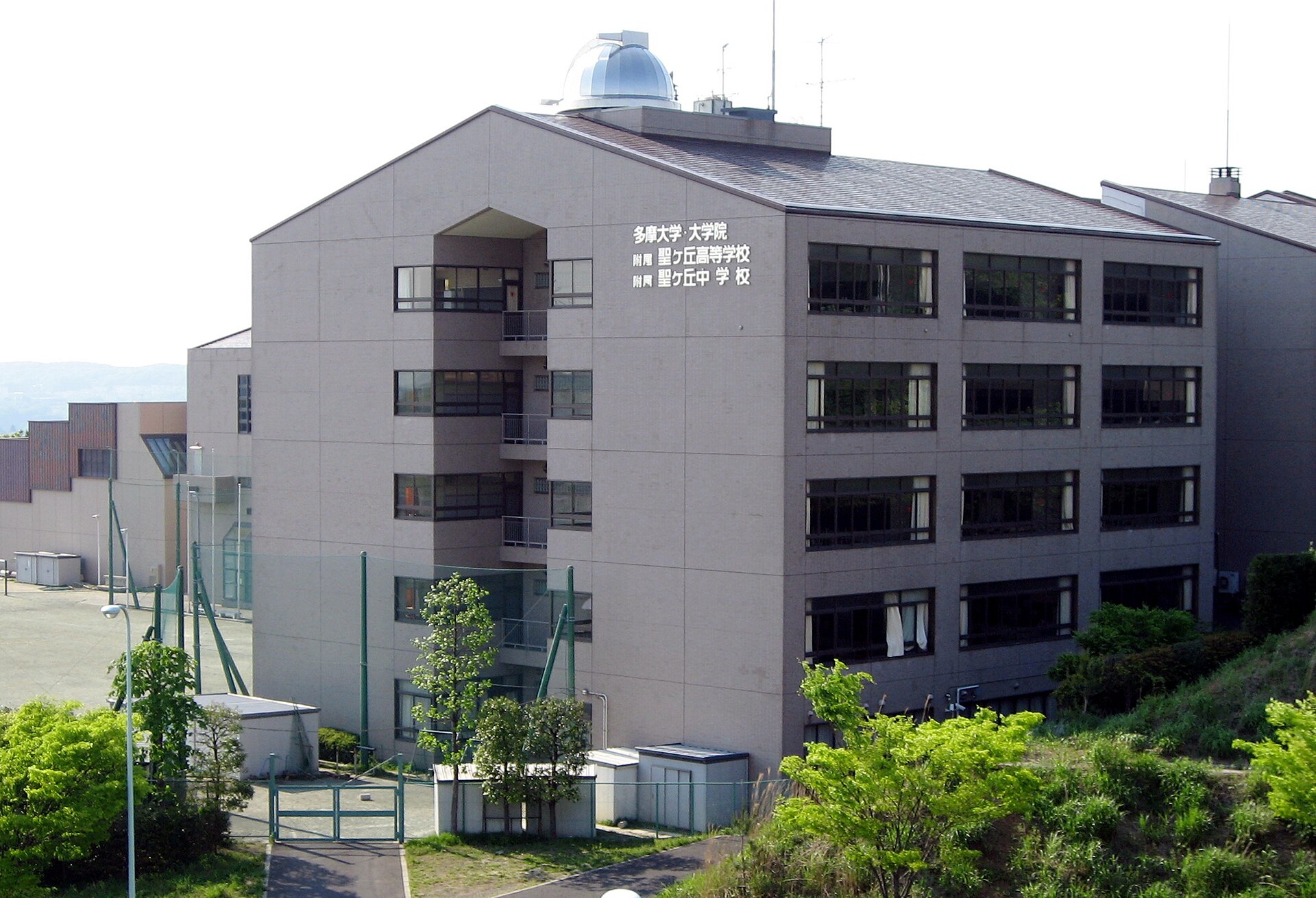 多摩大学