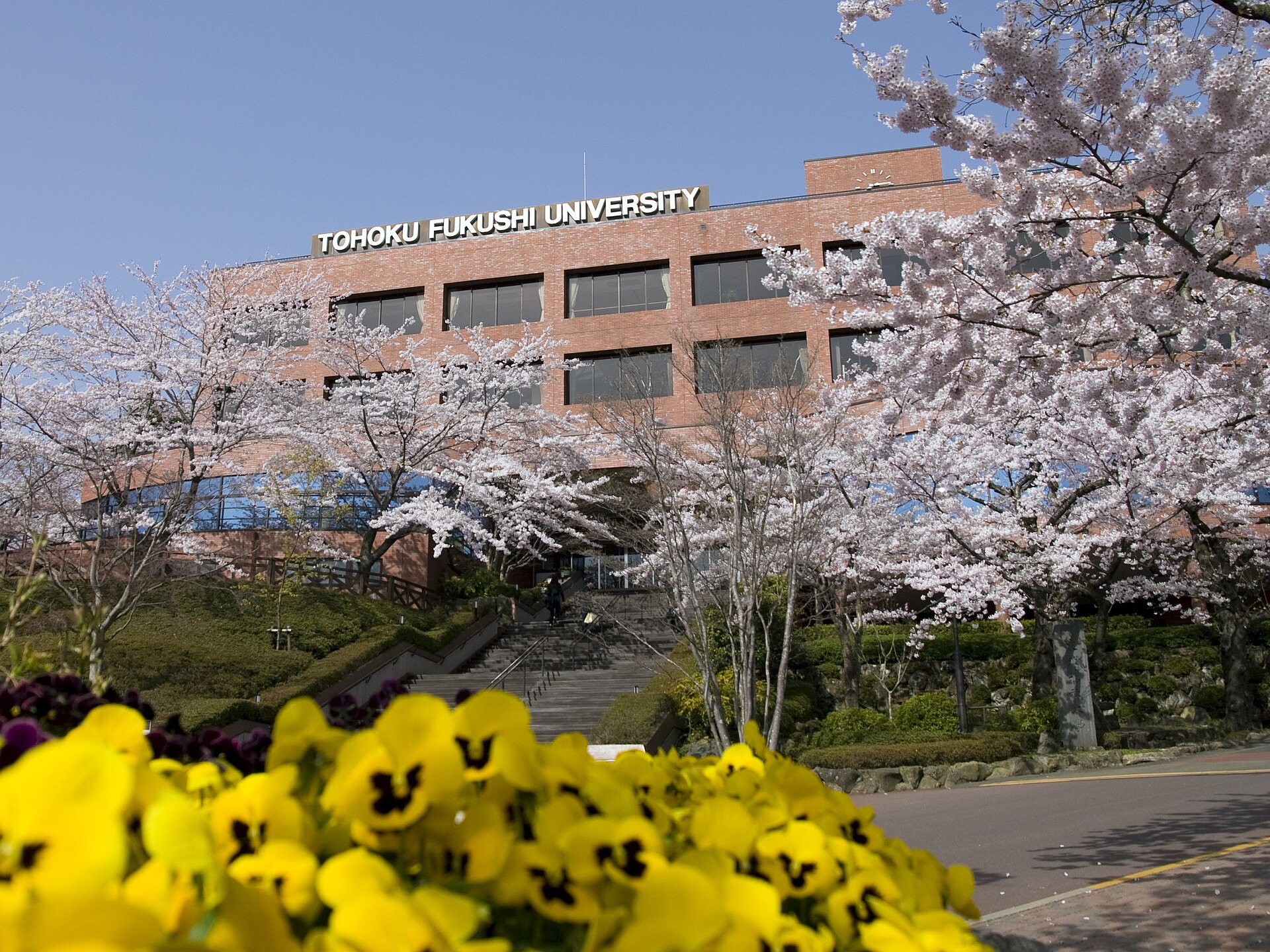 東北福祉大学