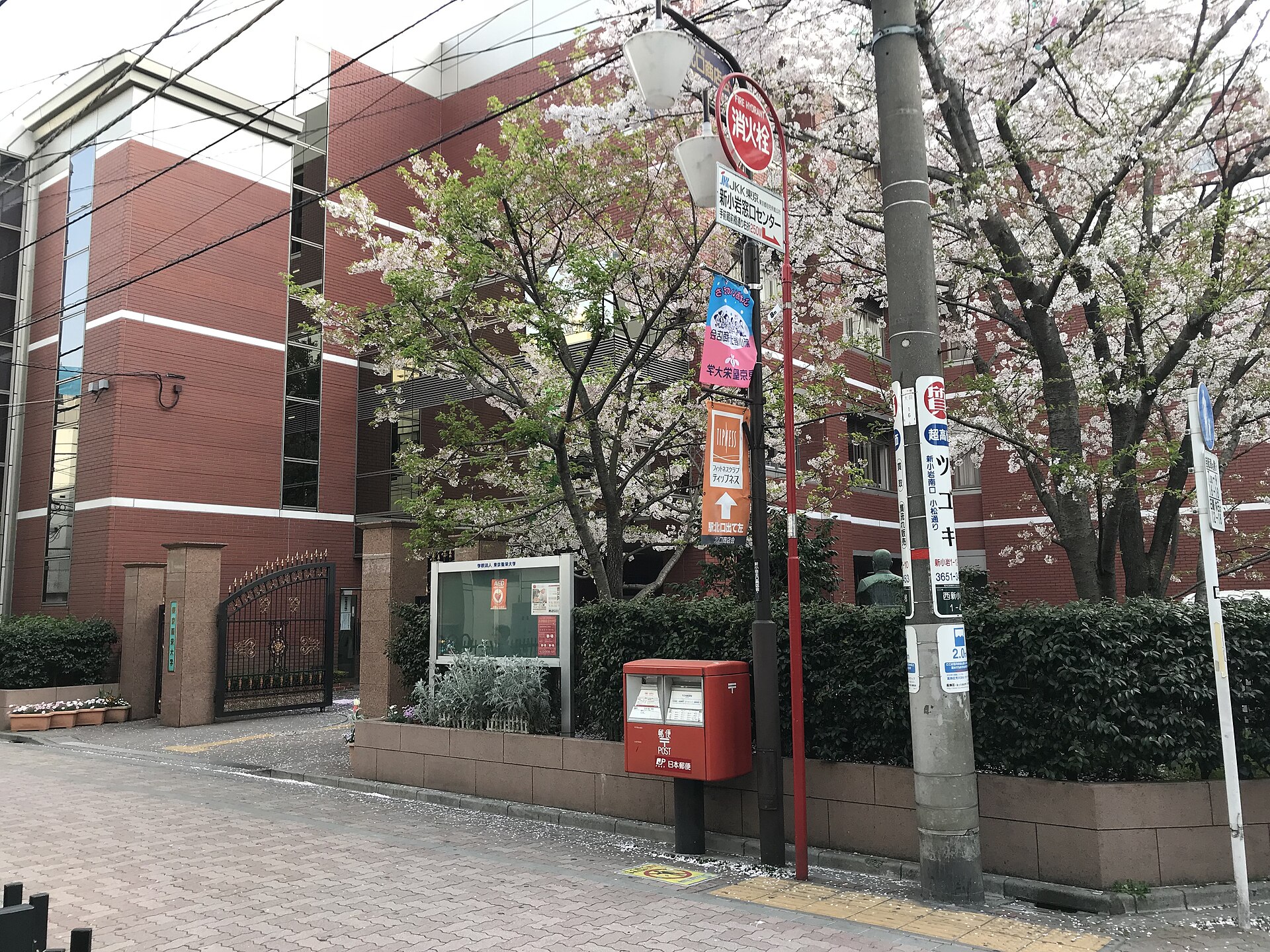 東京聖栄大学