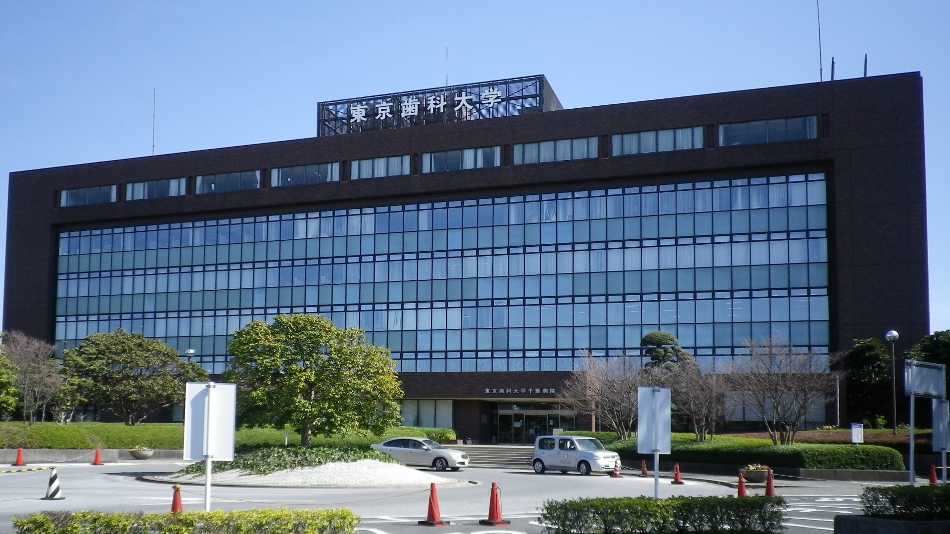 東京歯科大学