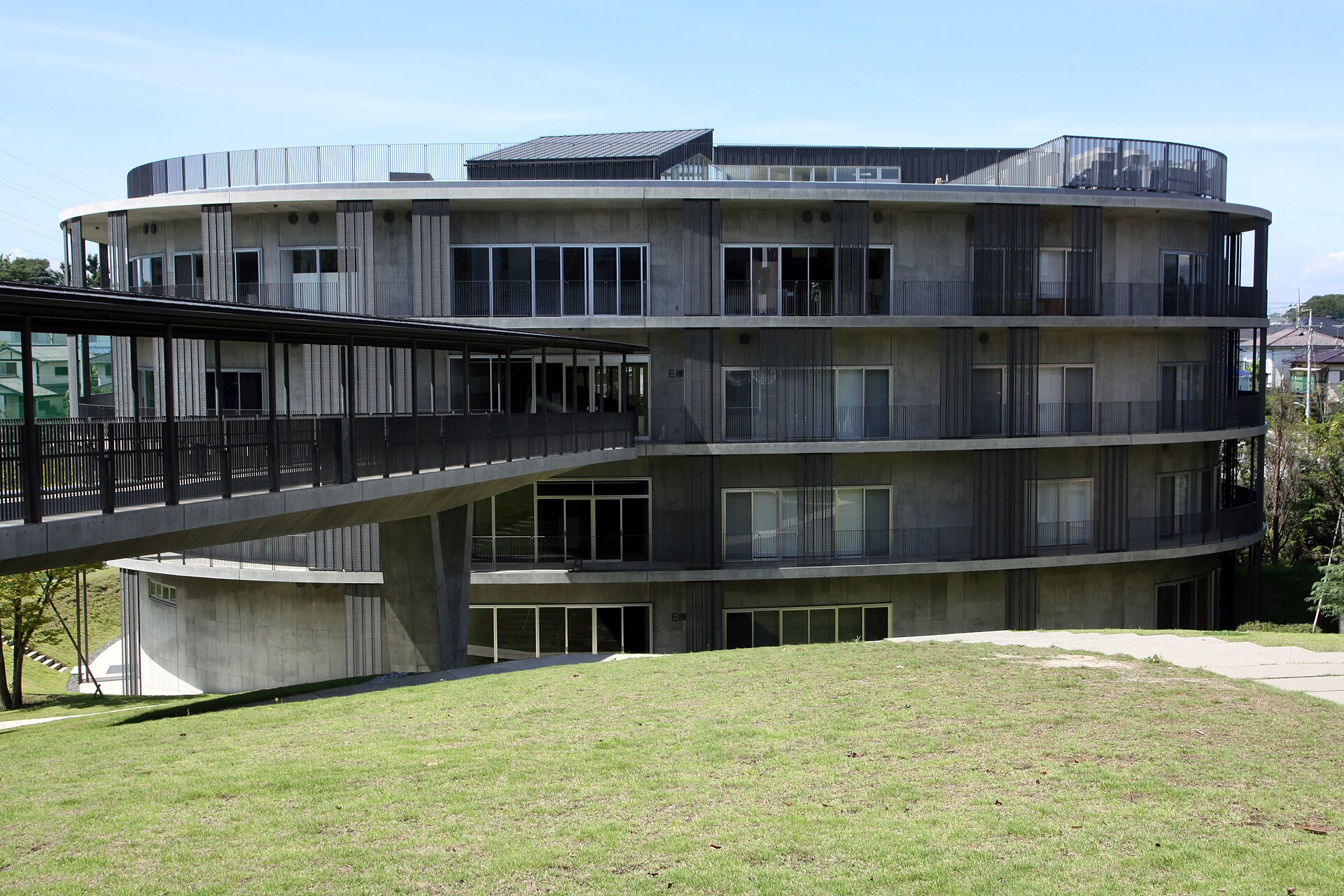 和光大学